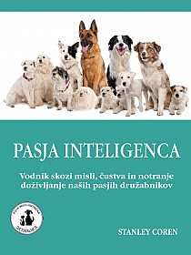 Pasja inteligenca