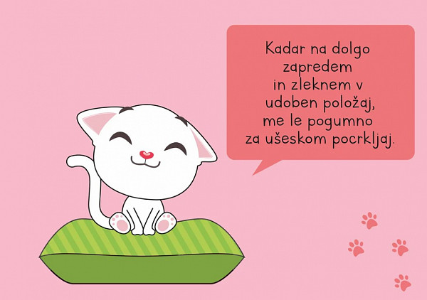 Če bi muce znale govoriti ...