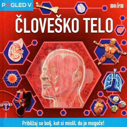 Pogled v človeško telo